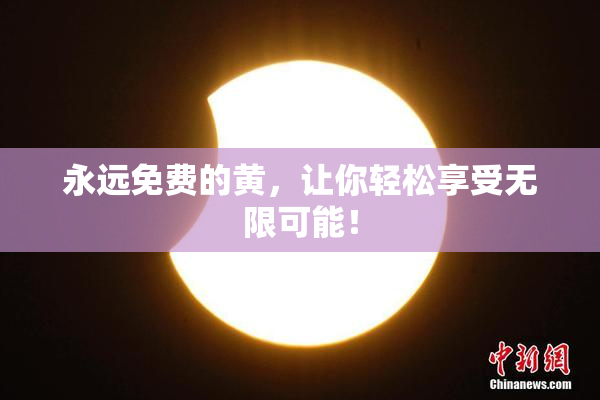 永远免费的黄，让你轻松享受无限可能！