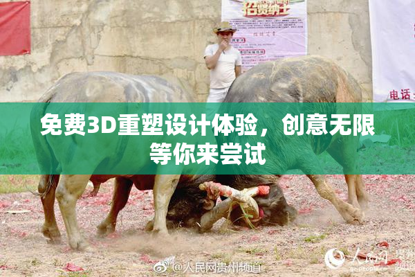 免费3D重塑设计体验，创意无限等你来尝试
