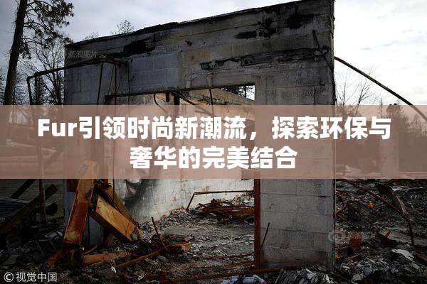 Fur引领时尚新潮流，探索环保与奢华的完美结合
