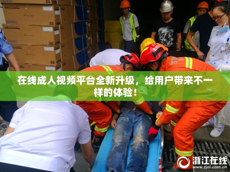 在线成人视频平台全新升级，给用户带来不一样的体验！