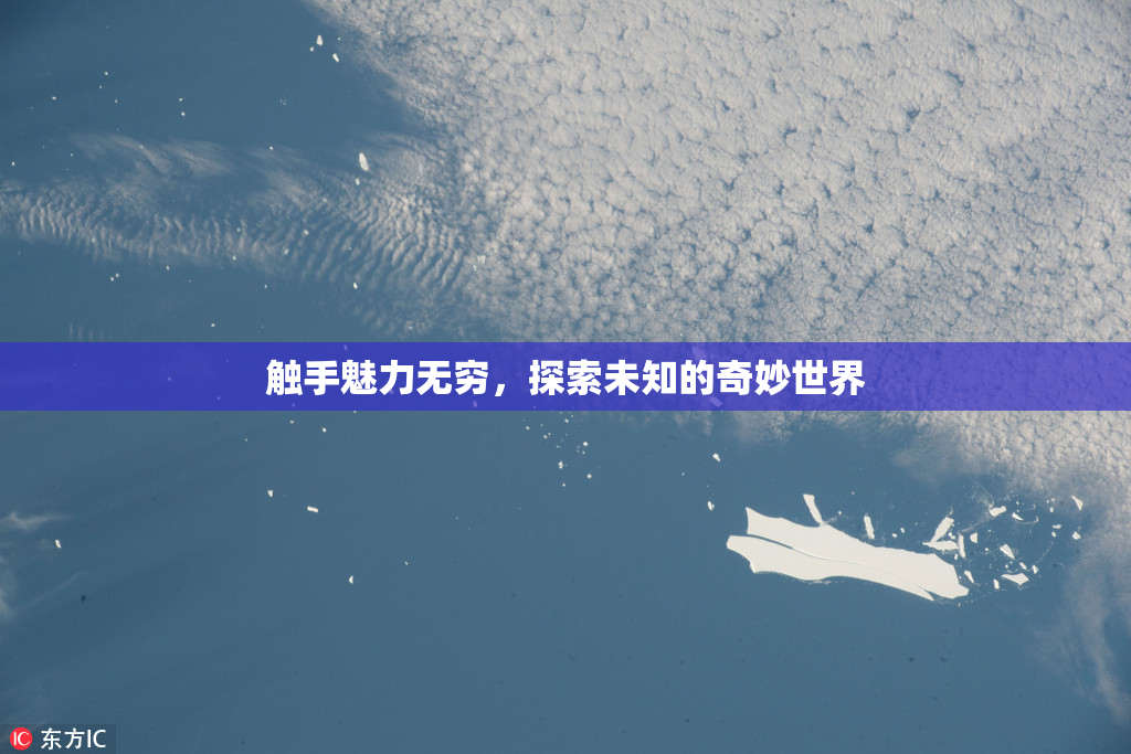 触手魅力无穷，探索未知的奇妙世界