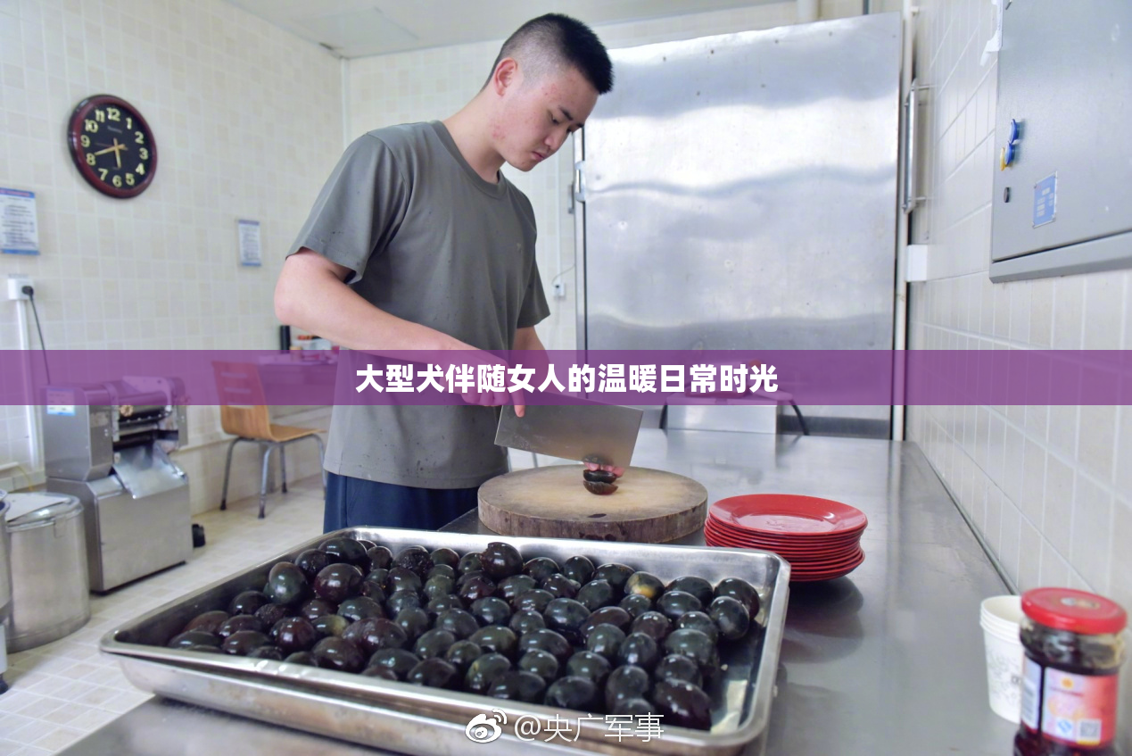 大型犬伴随女人的温暖日常时光