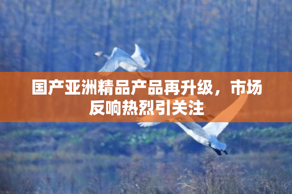 国产亚洲精品产品再升级，市场反响热烈引关注