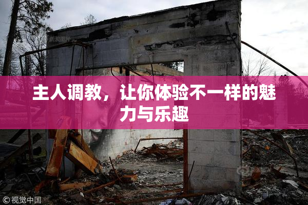 主人调教，让你体验不一样的魅力与乐趣