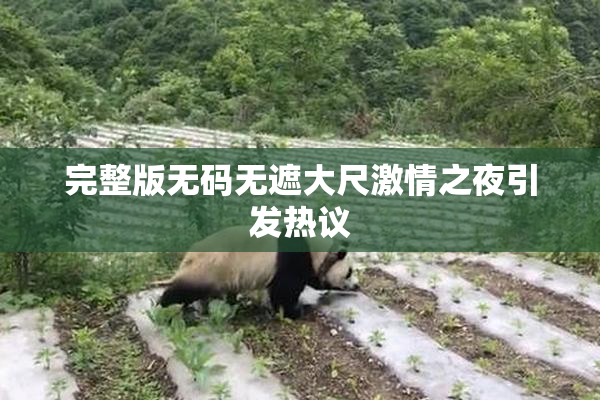 完整版无码无遮大尺激情之夜引发热议