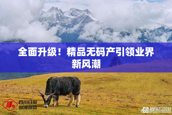 全面升级！精品无码产引领业界新风潮