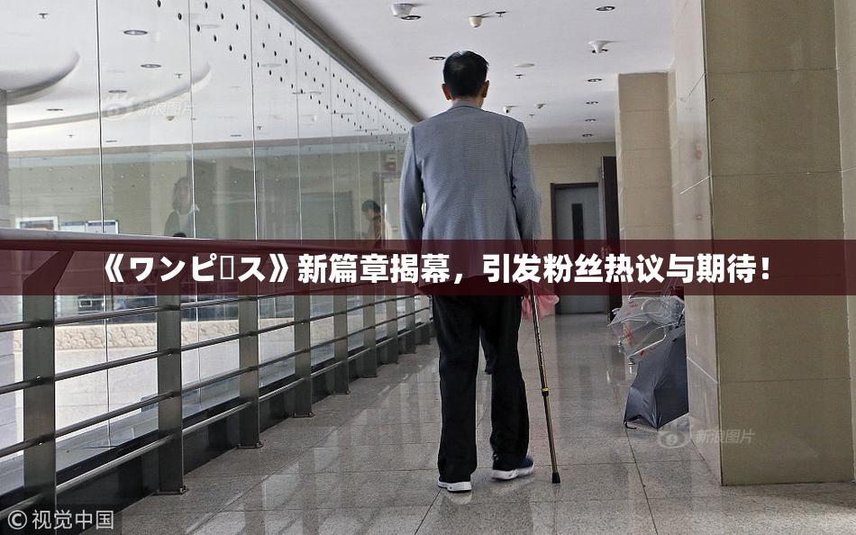 《ワンピース》新篇章揭幕，引发粉丝热议与期待！