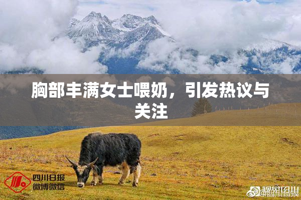 胸部丰满女士喂奶，引发热议与关注