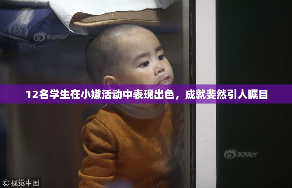 12名学生在小嫩活动中表现出色，成就斐然引人瞩目