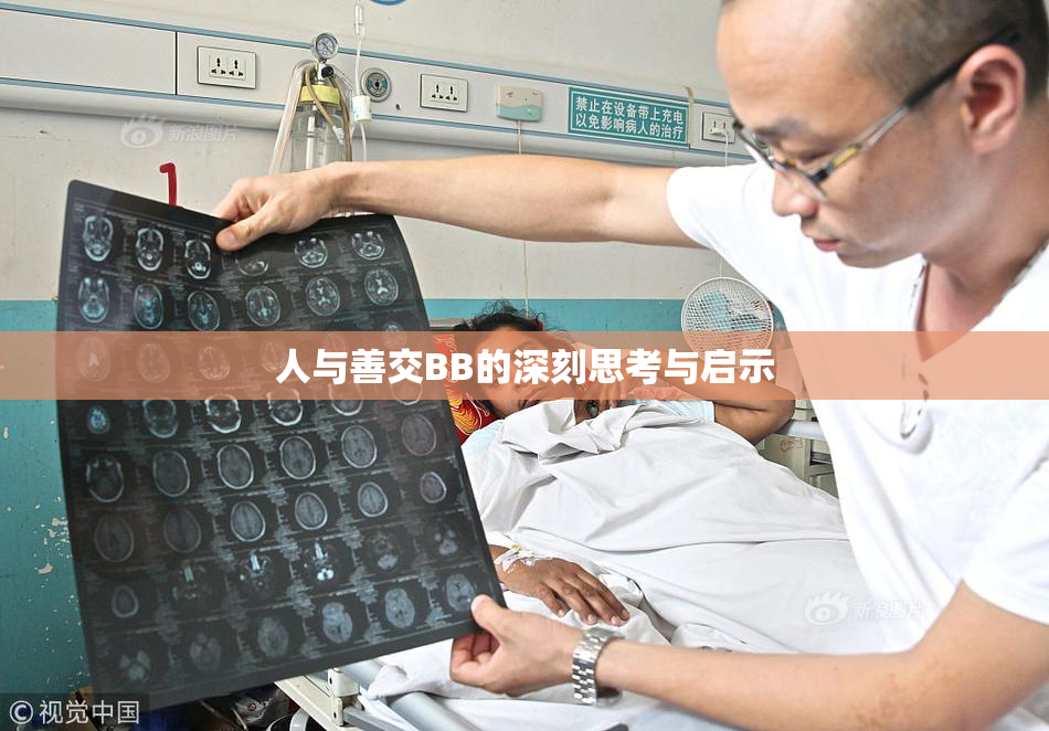 人与善交BB的深刻思考与启示