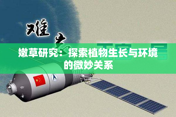嫩草研究：探索植物生长与环境的微妙关系