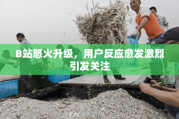 B站怒火升级，用户反应愈发激烈引发关注