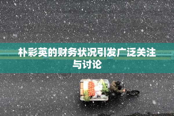朴彩英的财务状况引发广泛关注与讨论