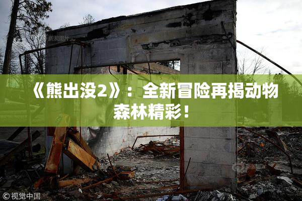 《熊出没2》：全新冒险再揭动物森林精彩！