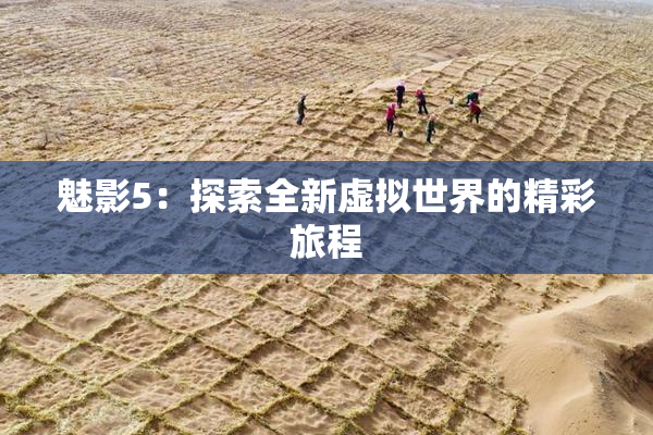 魅影5：探索全新虚拟世界的精彩旅程