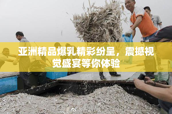 亚洲精品爆乳精彩纷呈，震撼视觉盛宴等你体验
