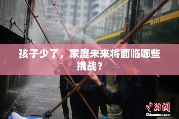 孩子少了，家庭未来将面临哪些挑战？