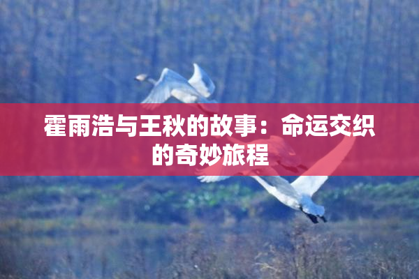 霍雨浩与王秋的故事：命运交织的奇妙旅程