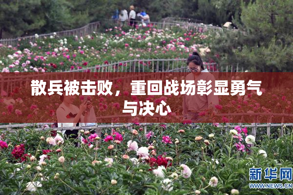 散兵被击败，重回战场彰显勇气与决心