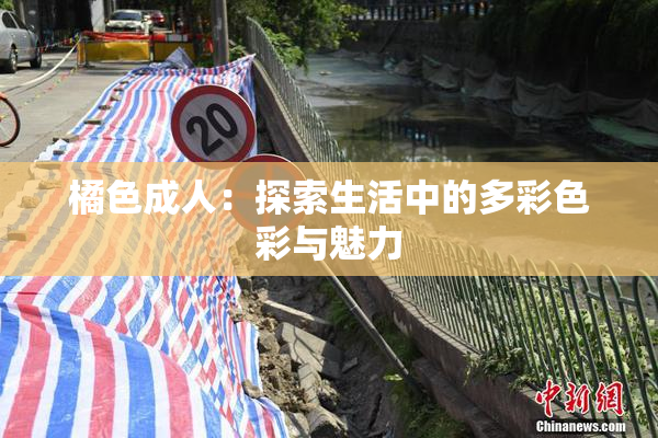 橘色成人：探索生活中的多彩色彩与魅力