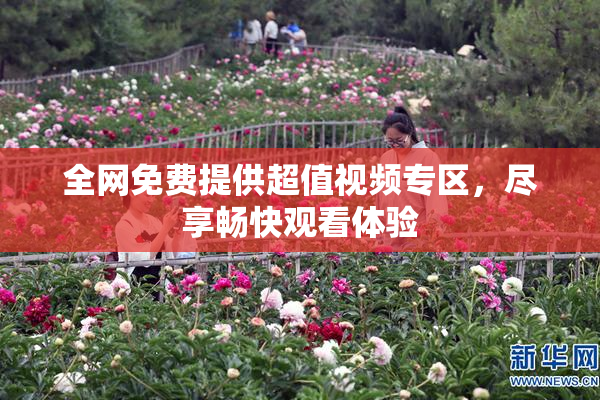 全网免费提供超值视频专区，尽享畅快观看体验