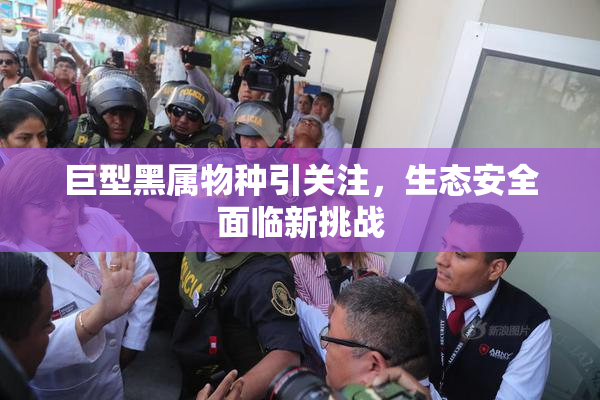 巨型黑属物种引关注，生态安全面临新挑战