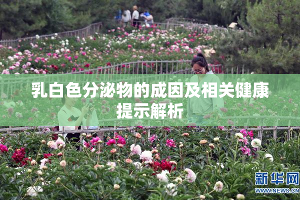 乳白色分泌物的成因及相关健康提示解析