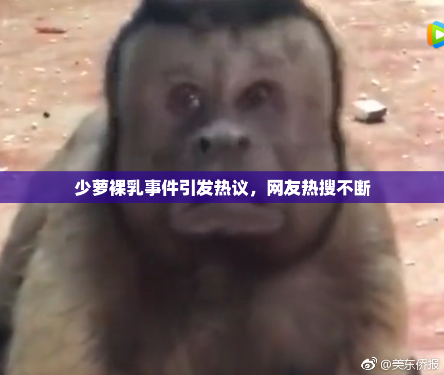 少萝裸乳事件引发热议，网友热搜不断