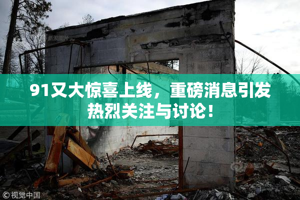 91又大惊喜上线，重磅消息引发热烈关注与讨论！