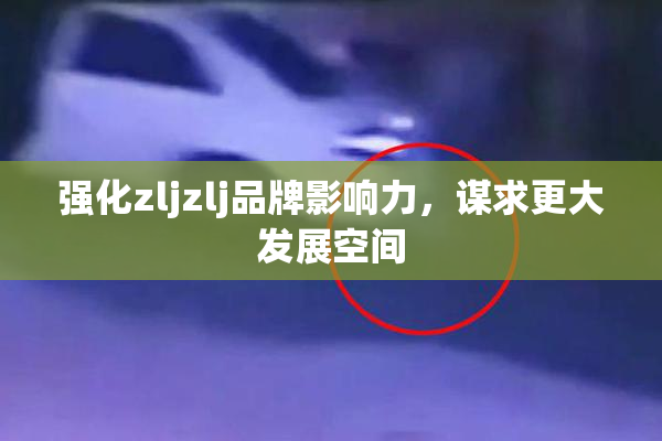 强化zljzlj品牌影响力，谋求更大发展空间
