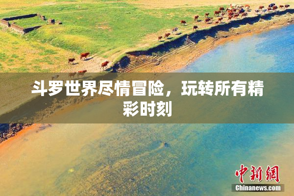 斗罗世界尽情冒险，玩转所有精彩时刻