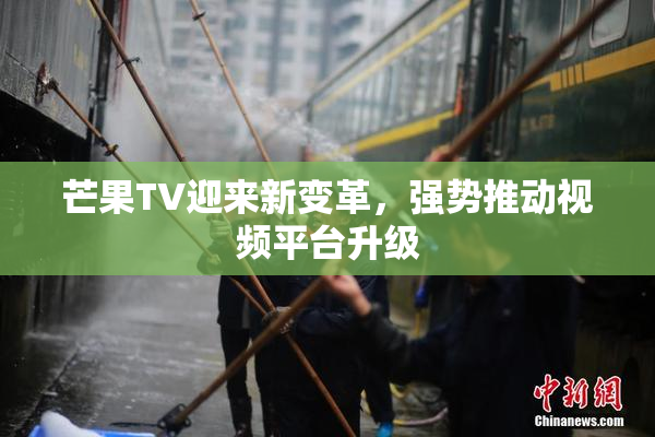 芒果TV迎来新变革，强势推动视频平台升级