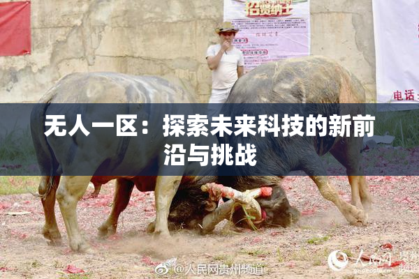 无人一区：探索未来科技的新前沿与挑战