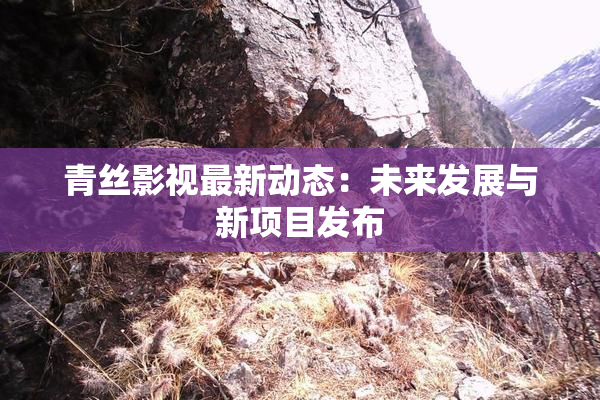 青丝影视最新动态：未来发展与新项目发布