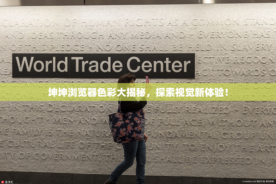 坤坤浏览器色彩大揭秘，探索视觉新体验！