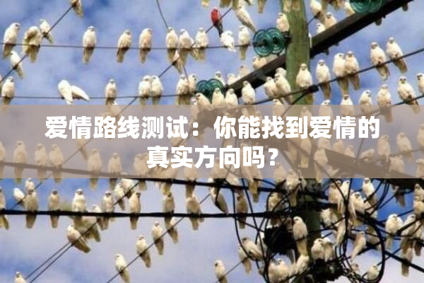 爱情路线测试：你能找到爱情的真实方向吗？