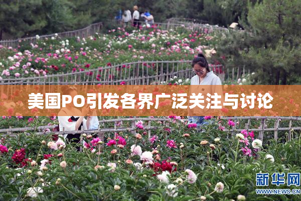 美国PO引发各界广泛关注与讨论