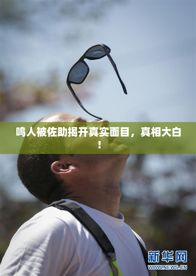鸣人被佐助揭开真实面目，真相大白！