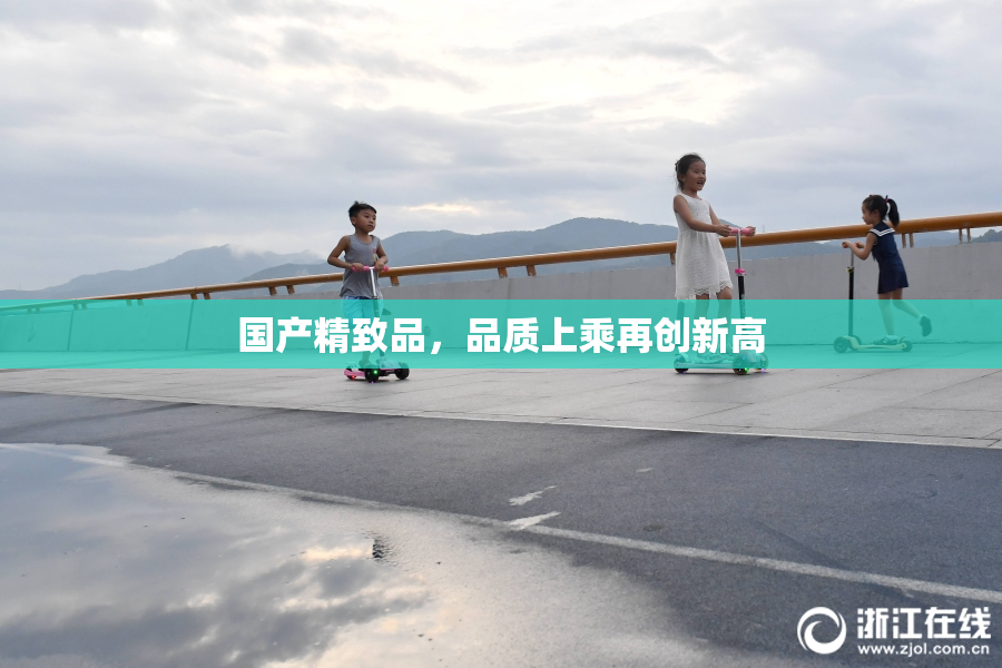 国产精致品，品质上乘再创新高