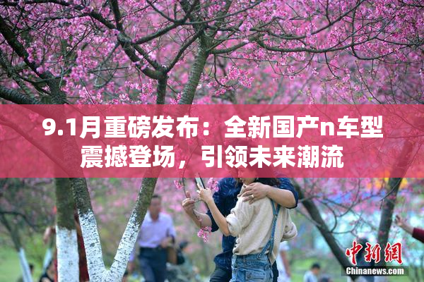 9.1月重磅发布：全新国产n车型震撼登场，引领未来潮流