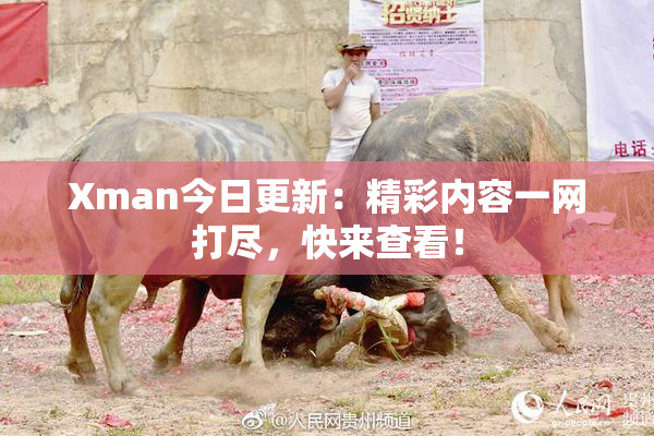 Xman今日更新：精彩内容一网打尽，快来查看！