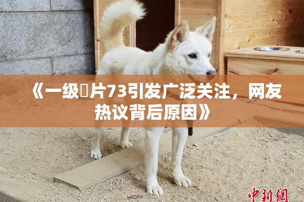 《一级婬片73引发广泛关注，网友热议背后原因》