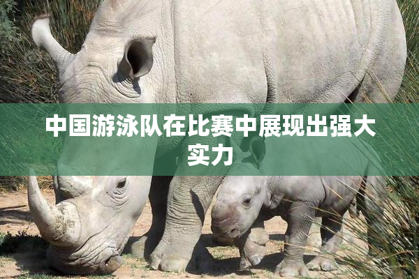 中国游泳队在比赛中展现出强大实力
