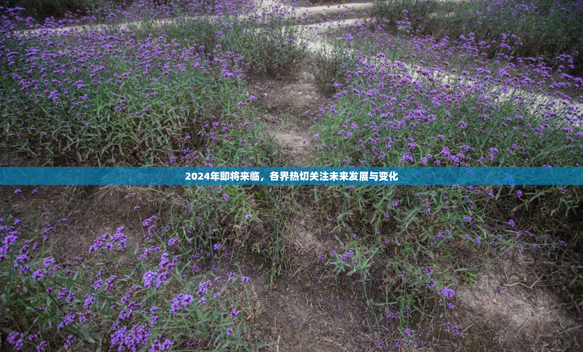 2024年即将来临，各界热切关注未来发展与变化