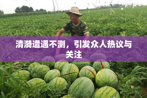 清漪遭遇不测，引发众人热议与关注