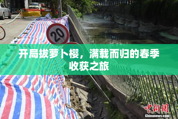 开局拔萝卜樱，满载而归的春季收获之旅