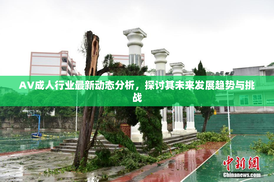 AV成人行业最新动态分析，探讨其未来发展趋势与挑战