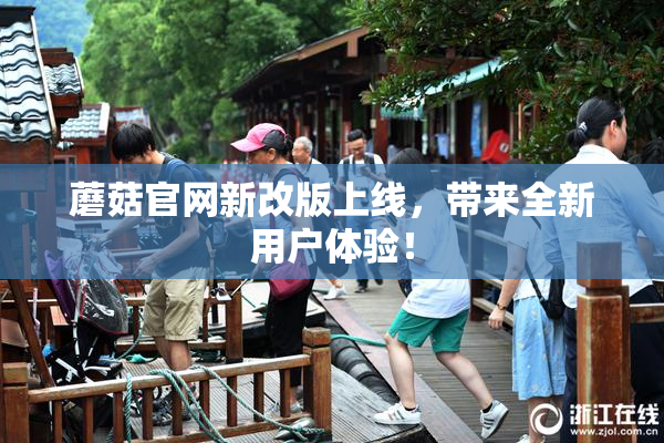 蘑菇官网新改版上线，带来全新用户体验！