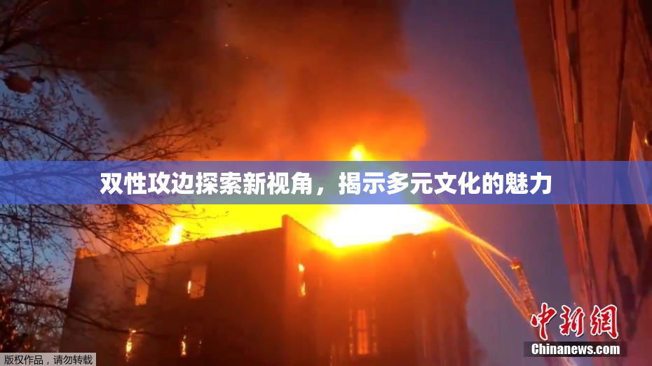 双性攻边探索新视角，揭示多元文化的魅力