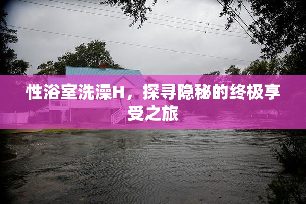 性浴室洗澡H，探寻隐秘的终极享受之旅